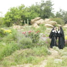 Penny Pax in 'Sister Penny and Sister Darcie are missing'